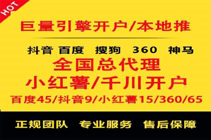 大型SEM服务公司案例分析